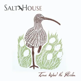 Twine Weel the Plaiden by Salt House