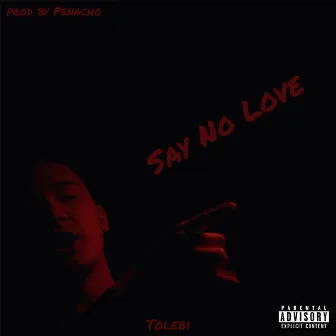 Say No Love by Tolebi