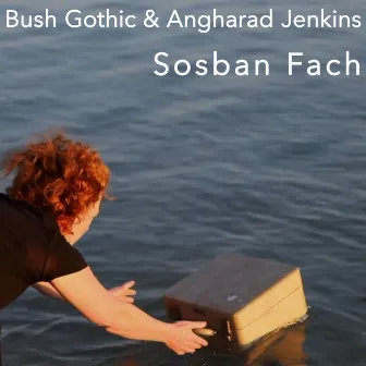 Sosban Fach by Bush Gothic