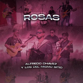 Rosas by Alfredo Chávez Y Los Del Mismo Sitio