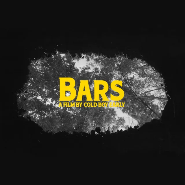 BARS