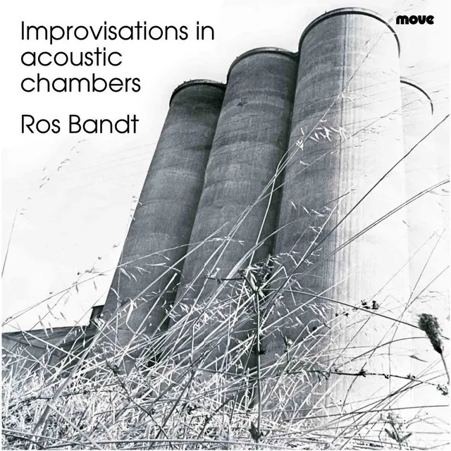 Improvisations in Acoustic Chambers