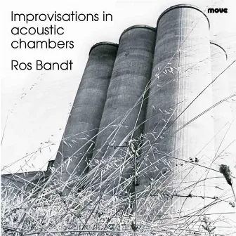 Improvisations in Acoustic Chambers by Ros Bandt