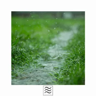 Rain for Calm by Calming Raining Noises