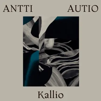 Kallio by Antti Autio