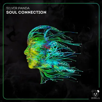 Soul Connection by Silver Panda