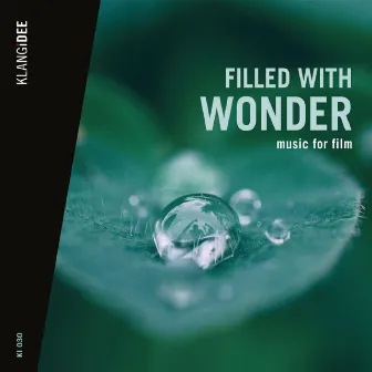 Filled With Wonder by Tony Delmonte