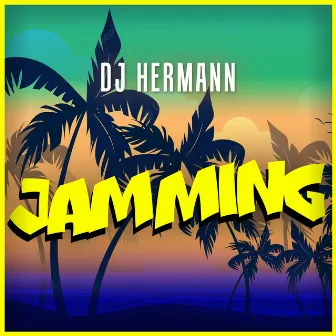 Jamming by Dj Hermann