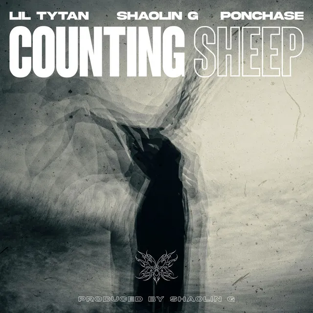 Counting Sheep