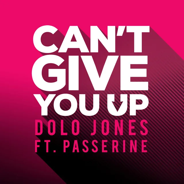 Can't Give You Up (feat. Passerine) [Extended Mix]