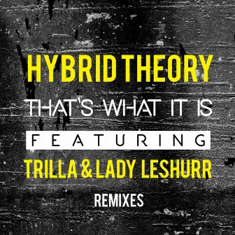 That's What it Is (Remixes) by Hybrid Theory