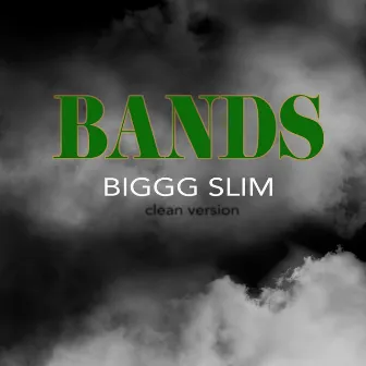 Bands (Radio Edit) by Biggg Slim