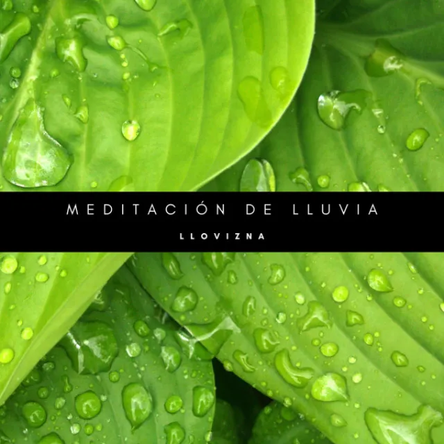 Lluvia Relajante