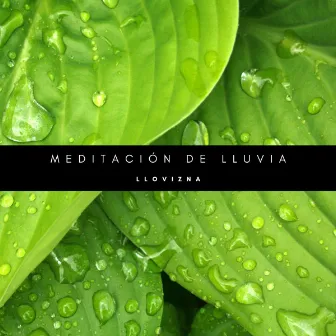 Meditación De Lluvia: Llovizna by #Calmante