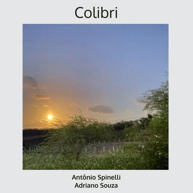 Colibri