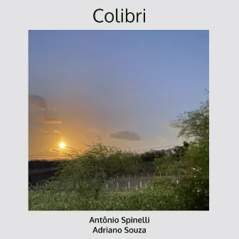 Colibri by Antônio Spinelli