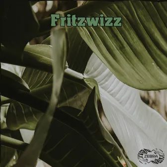 Fritzwizz by Vid