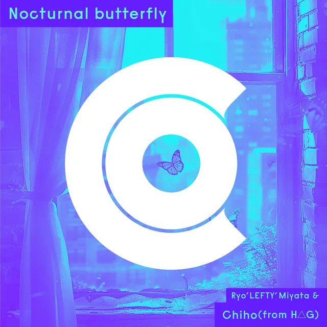 Nocturnal butterfly