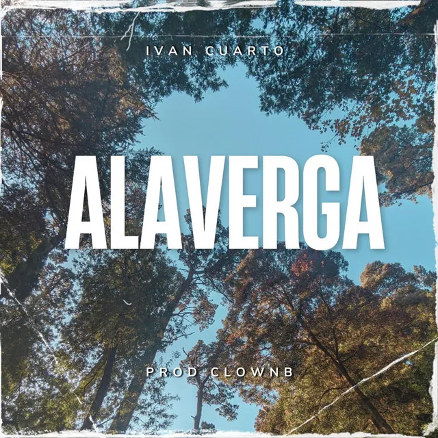 ALAVERGA