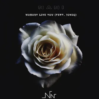 Nobody Like You by N a n i