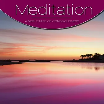 Meditation, Vol. Violet, Vol. 2 by Meditation String