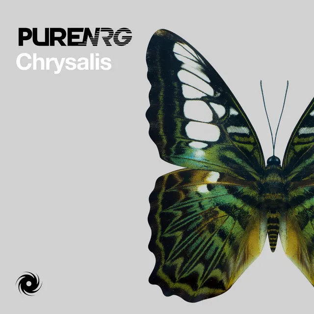 Chrysalis