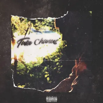 Take Chances by Robo