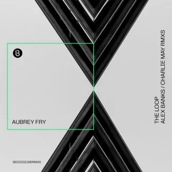 The Loop (Remixes) by Aubrey Fry