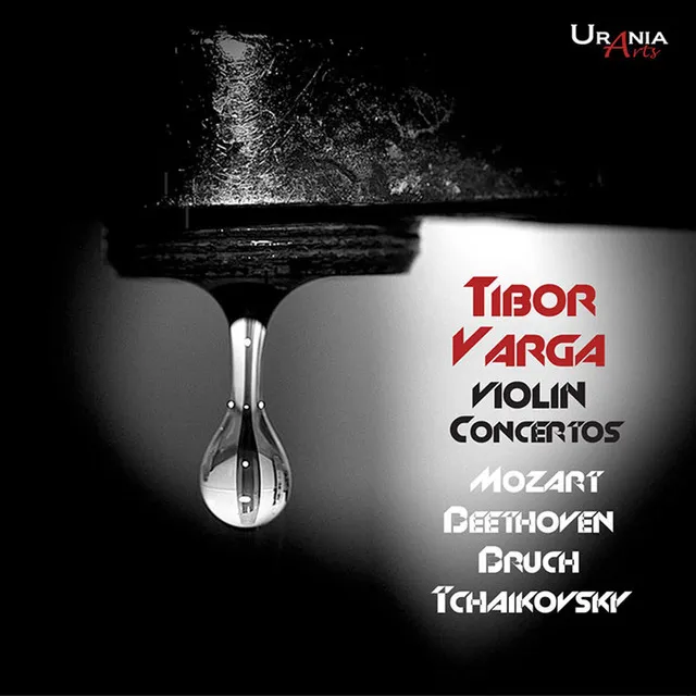 Violin Concerto in D Major, Op. 61: I. Allegro ma non troppo