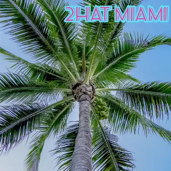 Miami by 2Hat