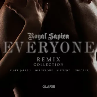 Everyone Remixes Collection by Royal Sapien