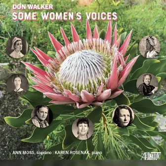 Some Women's Voices by Karen Rosenak