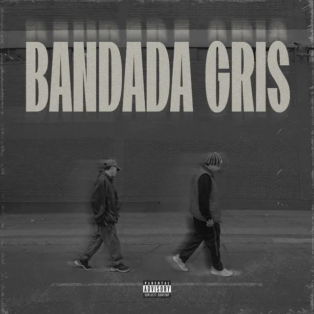 Bandada Gris