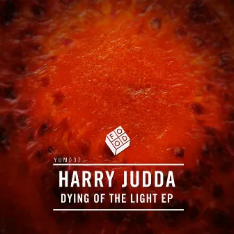 Dying of the Light EP by Harry Judda