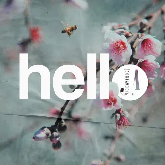 Hello by Joe Ayinde