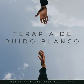 Terapia De Ruido Blanco: Melodías Relajantes Calmantes by 