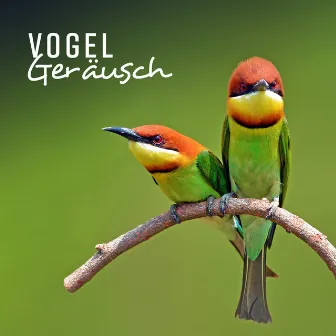 Vogel Geräusch (Beruhigende Klänge mit instrumentalem Hintergrund für tiefe Entspannung, Wellness & Meditation) by Tiefenentspannung Oase