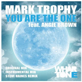 You Are The One by Angie Brown