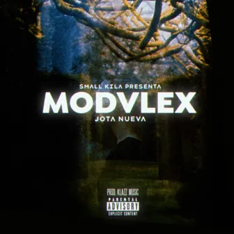 MODVLEX by Jota Nueva