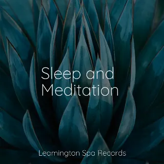 Sleep and Meditation by Nature and Rain