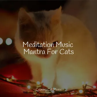 Meditation Music Mantra For Cats by Jazz Music for Cats