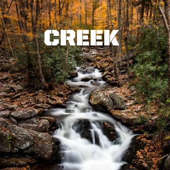 Creek I by Echoes of Life