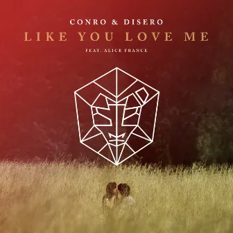 Like You Love Me by Disero