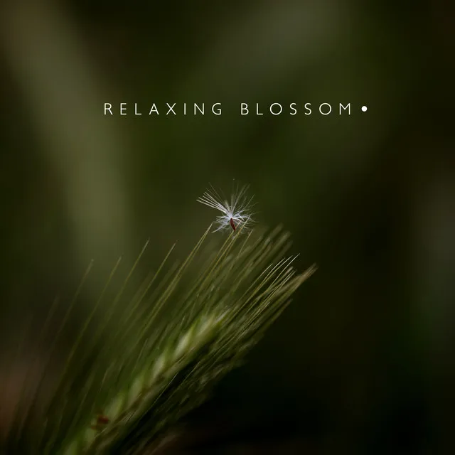 Relaxing Blossom