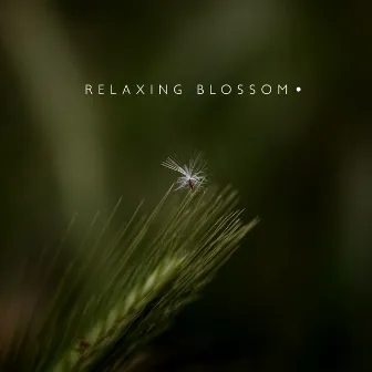 Relaxing Blossom by Serena Beatty