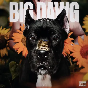 BIG DAWG by Tino Kissi