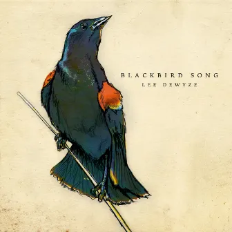 Blackbird Song by Lee DeWyze