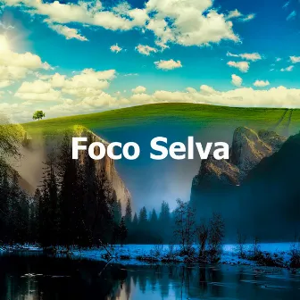 Foco Selva by Ambiente Forestal