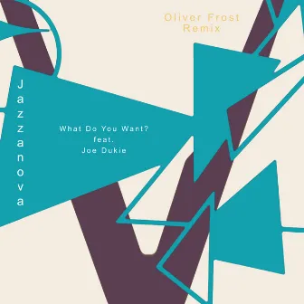 What Do You Want? (Oliver Frost Remix) by Oliver Frost