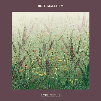 Achiltibuie by Beth Malcolm